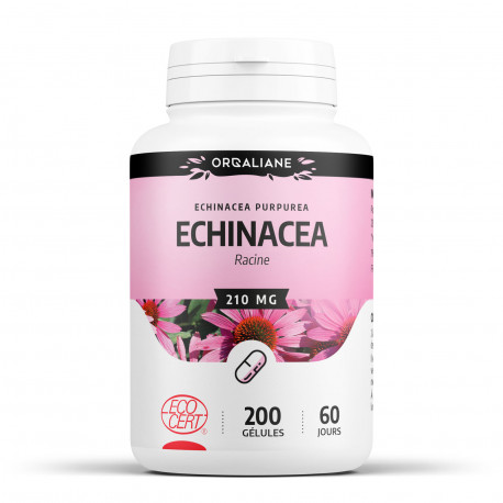 Echinacéa Bio - 200 gélules à 210 mg