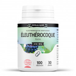 Eleuthérocoque Bio - 100 gélules à 210 mg