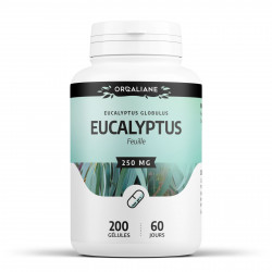 Eucalyptus - 200 gélules à 250 mg