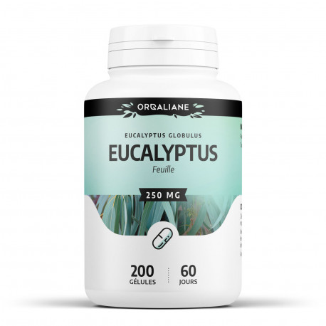 Eucalyptus - 200 gélules à 250 mg