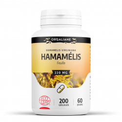 Hamamélis Bio - 200 gélules à 220 mg