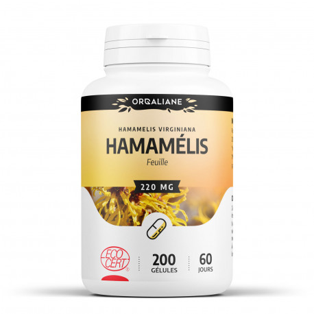 Hamamélis Bio - 200 gélules à 220 mg