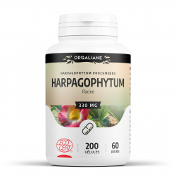 Harpagophytum Bio - 200 gélules à 330 mg