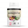 Harpagophytum Bio - 200 gélules à 330 mg