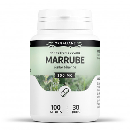Marrube Blanc - 100 gélules 200 mg
