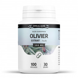 Olivier extrait sec de feuille -500 mg - 100 gélules
