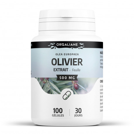 Olivier extrait sec de feuille -500 mg - 100 gélules