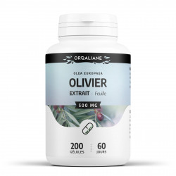 Olivier extrait sec de feuille - 500 mg - 200 gélules
