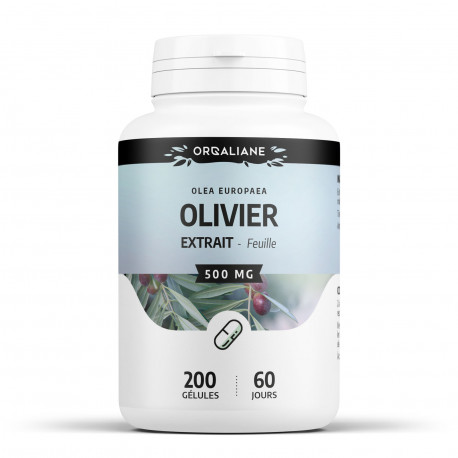 Olivier extrait sec de feuille - 500 mg - 200 gélules