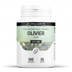 Olivier feuille - 210 mg - 100 gélules