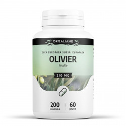 Olivier Feuille - 210 mg - 200 gélules