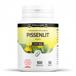 Pissenlit Racine - 100 gélules 270 mg