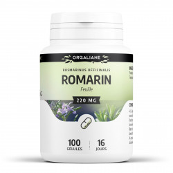 Romarin - 100 gélules à 220 mg