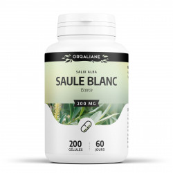 Saule Blanc - 200 gélules à 200 mg
