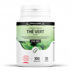 Thé Vert Bio - 100 gélules à 250 mg