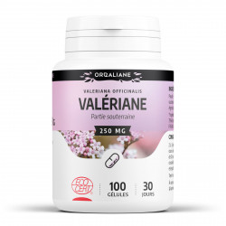 Valériane - 250 mg - 100 gélules