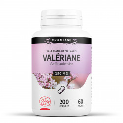 Valériane - 250 mg - 200 gélules