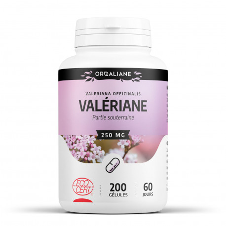 Valériane - 250 mg - 200 gélules
