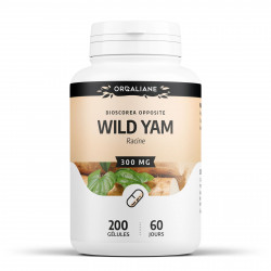 Wild Yam - 200 gélules