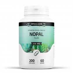 Nopal - 200 gelules classiques