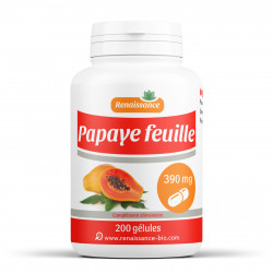 Papaye feuille - 200 gelules classiques