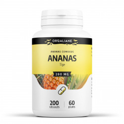 Ananas - 200 gélules à 280 mg