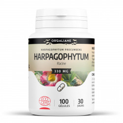 Harpagophytum bio - 100 gélules à 330 mg