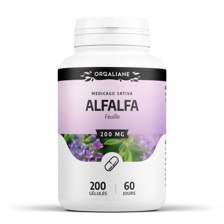 Alfalfa - 200 gélules à 250 mg