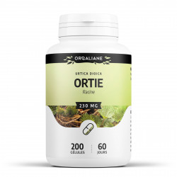 Ortie Racine - 250 mg - 200 gélules