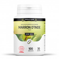 Marron d'Inde Bio - 250 mg - 100 gélules