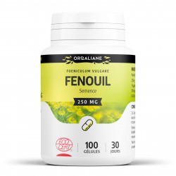 Fenouil Bio - 250 mg- 100 gélules