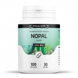 Nopal - 250mg - 100 gélules
