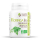 Moringa Oleifera Bio - 400mg - 100 gélules végétales