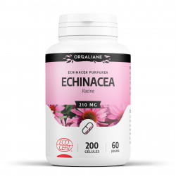 Echinacéa Bio 200 gélules - 210 mg