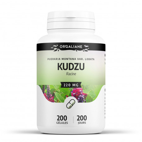 Kudzu - 250 mg - 200 gélules