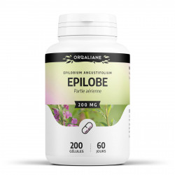 Epilobe - 200 gélules à 200 mg