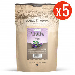 Alfalfa (luzerne) - 5 Kg de poudre