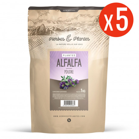Alfalfa (luzerne) - 5 Kg de poudre