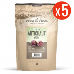 Artichaut - Poudre 5 kg