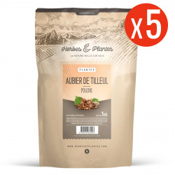 Aubier de Tilleul - Poudre 5 kg