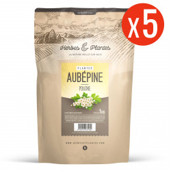 Aubépine - 5 Kg de poudre