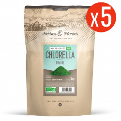 Chlorella - 5 Kg de poudre