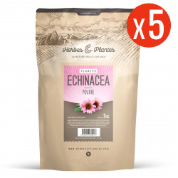 Echinacéa - 5 Kg de poudre