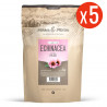 Echinacéa - 5 Kg de poudre