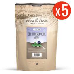 Eleuthérocoque - 5 Kg de poudre