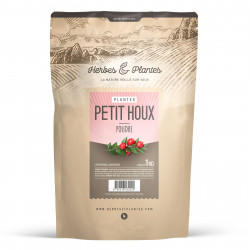 Fragon (petit houx) - 1 Kg de poudre
