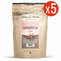 Harpagophytum - poudre 5 kg