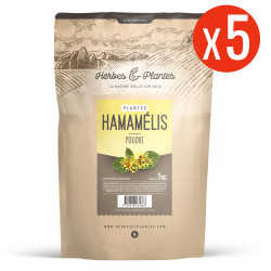 Hamamélis- 5 Kg de poudre