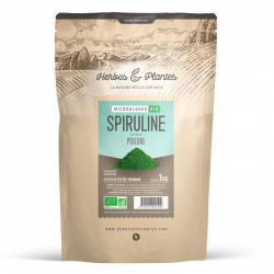 Spiruline Bio 1 kg - Poudre