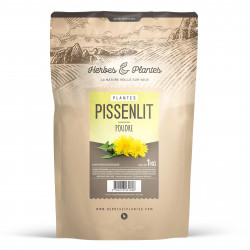Pissenlit - Poudre 5 kg
